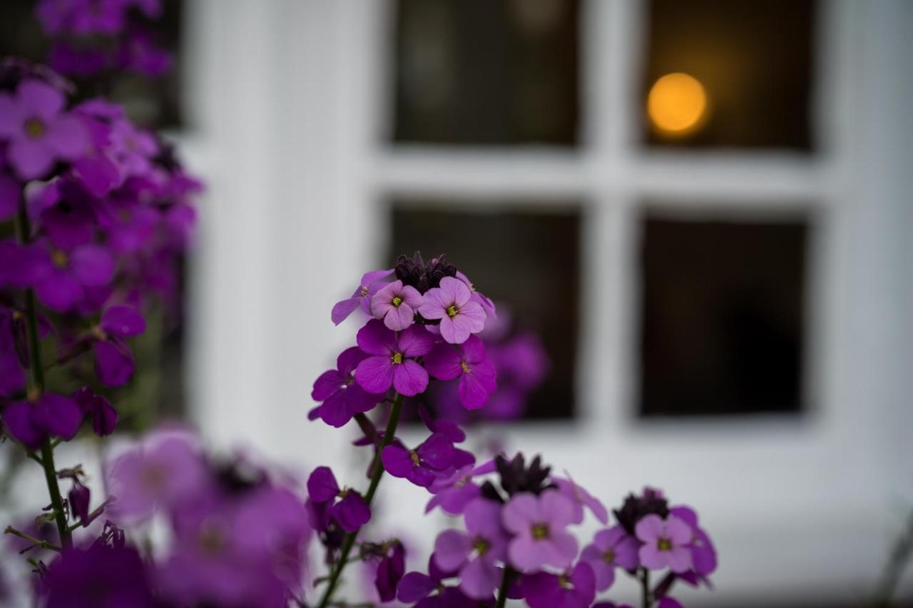 Findon Manor Hotel Kültér fotó